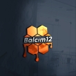 Balcım12